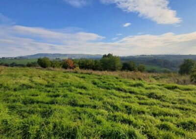 Żywiec – cicha i spokojna okolica