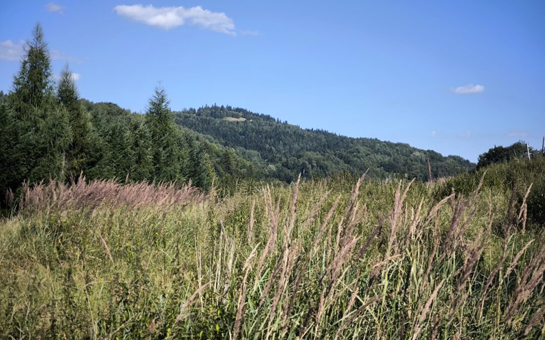 Juszczyna – widokowa działka budowlana