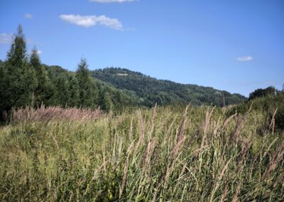 Juszczyna – widokowa działka budowlana
