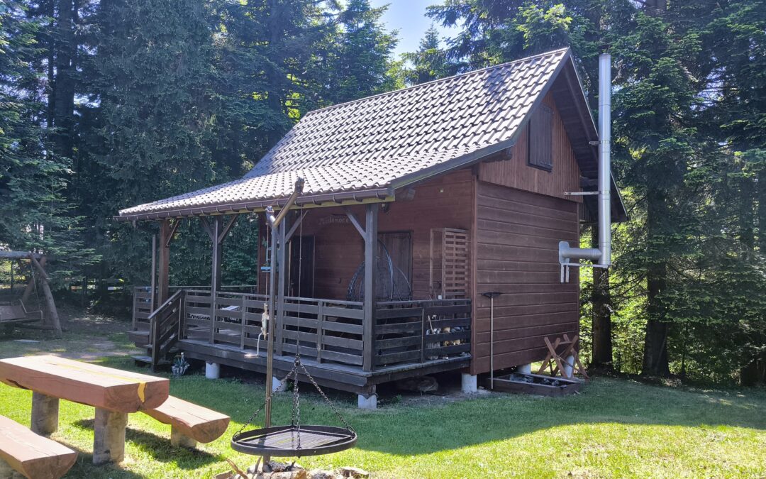 Pewelka – cisza, las, natura